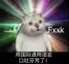 看1080p的网站