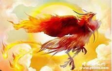 中国神鸟有哪些