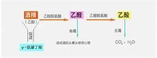 氨基丁酸改善性冷淡